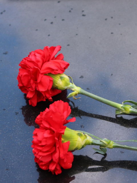 BATALLA DE LAS FLORES