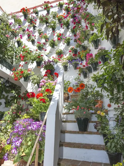 FIESTA DE LOS PATIOS, REJAS Y BALCONES